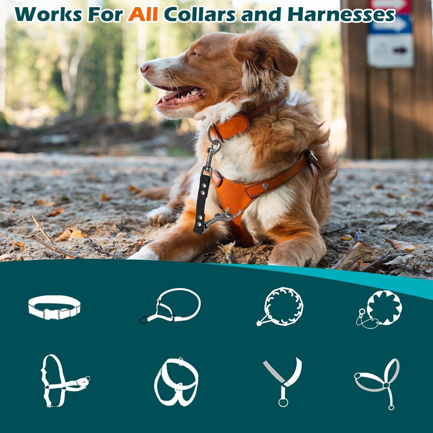petbonus-waterproof-dog-collar-safety-clip-odor-proof-backup-safety-clip-for-harness-prong-standard-collars-heavy-duty-double-ended-clasp-durable-dog-leash-connector-for-training-walking-black