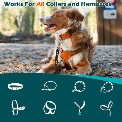 Petbonus Waterproof Dog Collar Safety Clip, Odor Proof Backup Safety Clip for Harness, Prong, Standard Collars, Heavy Duty Double Ended Clasp, Durable Dog Leash Connector for Training Walking (Black)7