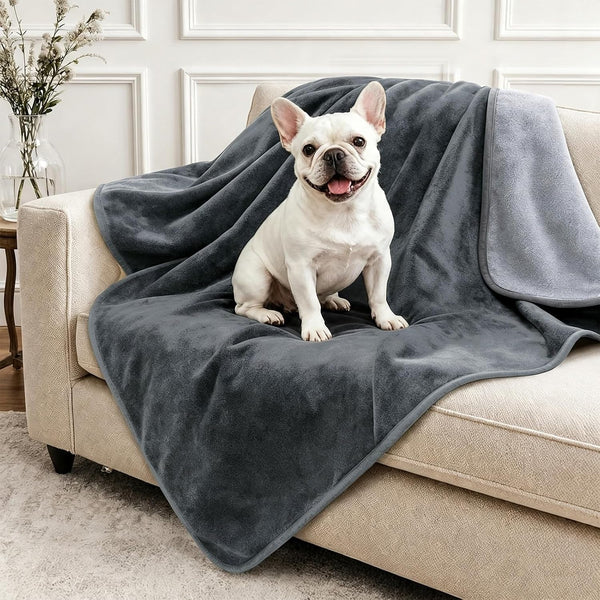 LOOBANI Waterproof Blanket for Bed, Soft Flannel Twin Bed Blanket 60" X 80" | Dog Pet Blankets for Large Dogs, Reversible Spill-Proof Throw for Couch Cover, Movie Time, Camping, Travel, Noise Free, Grey14
