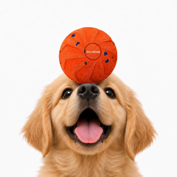 Interactive Dog Ball Toy for Small Medium Dogs – Automatic Rolling, Bouncing & Moving Dog Toy with LED Lights, 2-In-1 Fetch Toy, Durable E-TPU, USB Rechargeable (2.8” Blue)14