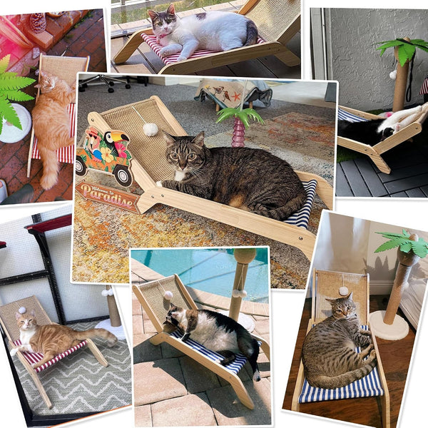 PETKARAY Beach Chair Cat Hammock, Elevated Cat Beds for Indoor Cats, Original Cozy Lounger with Sisal Scratcher and Toy Ball6