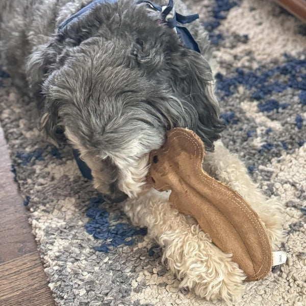 SPOT Dura-Fused Leather Squirrel Dog Toy – Real Leather & Jute Fabric, Double-Stitched & Durable, Soft Stuffed Squeaky Interactive Chew Toy for Moderate Chewers, Small & Medium Dogs, 8In12