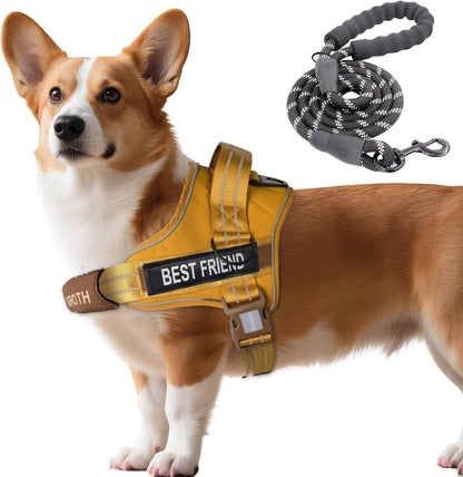 AUROTH Dog Harness and Leash Set, Soft Padded Service Dog Vest with 5.25FT Dog Leash, No Choke, Easy on Pet Vest, Adjustable Reflective No Pull Pet Vest Medium Sized Dog, Easy Walking and Training13