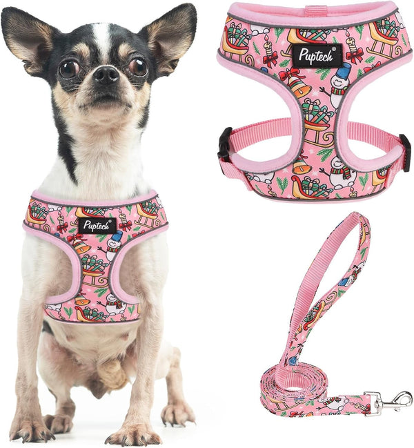 PUPTECK Soft Mesh Dog Harness Small Sized and Leash Set Pet Puppy Cat Comfort Padded Vest No Pull Harnesses, Beige, S15