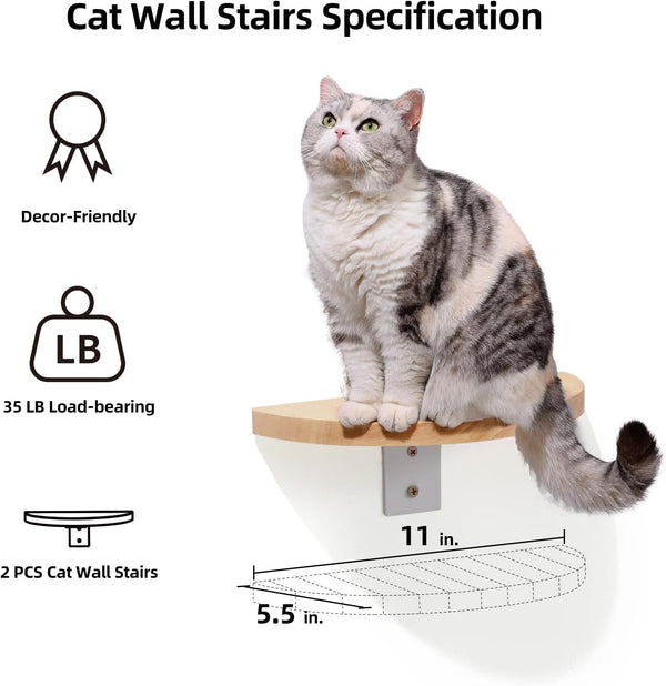FUKUMARU Cat Wall Furniture Set, Transparent Capsule with 2 PCS Pedals | Kitten Walls Shelves, Premium Kitty Bed, for Sleeping, Playing, Climbing, Lounging, Holds up to 35 Lbs3