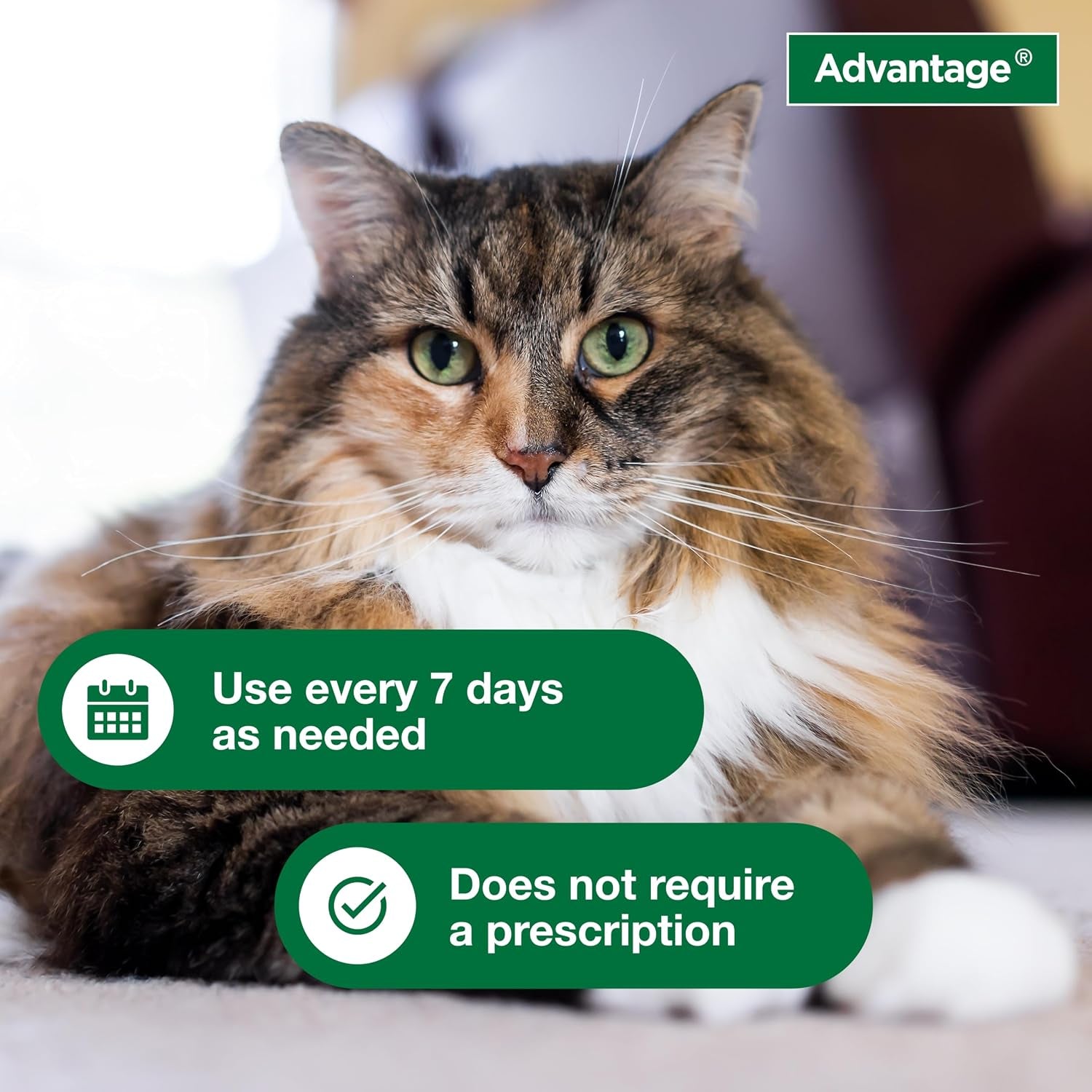 advantage-cat-flea-tick-shampoo-for-kittens-adult-cats-kills-fleas-ticks-8-oz
