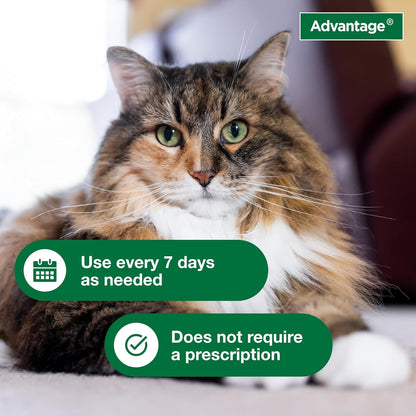 Advantage Cat Flea & Tick Shampoo for Kittens & Adult Cats | Kills Fleas & Ticks | 8 Oz.4