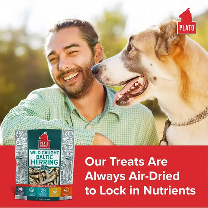 Plato Pet Treats Fish Dog Treats - Air-Dried, Single Ingredient Pet Treat - Omega 3 & 6 Fatty Acids to Support Skin and Coat - 100% Whole Fish - Wild Caught Baltic Herring - 3Oz - 2 Pack3