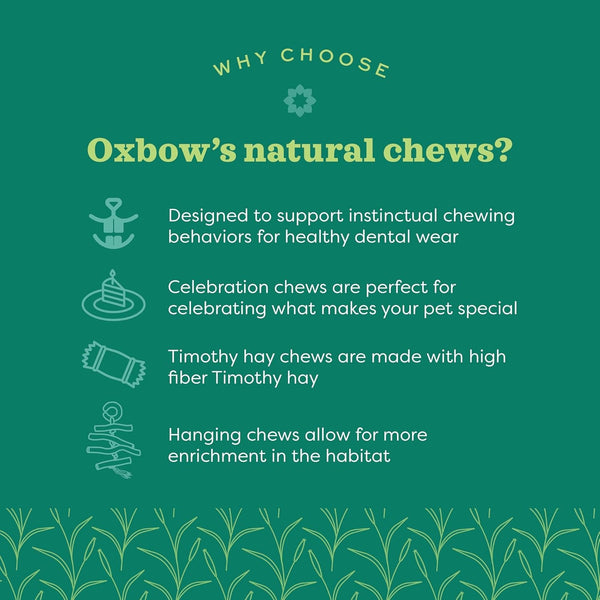 Oxbow Crunchy Carrot, Rabbit & Guinea Pig Toy, Bunny Enrichment Chew Toy | Oxbow Enriched Life, Rabbit Chew Toys, Guinea Pig Enrichment, Guinea Pig Chew Toys, Rabbit Enrichment, Natural Materials4