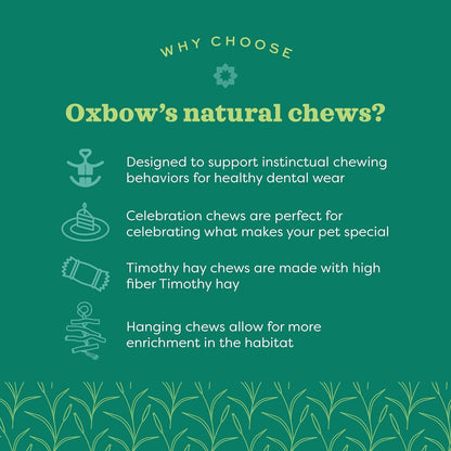 Oxbow Willow Play Cube, Rabbit & Guinea Pig Toy, Bunny Enrichment Chew Toy | Oxbow Enriched Life, Rabbit Chew Toys, Guinea Pig Enrichment, Guinea Pig Chew Toys, Rabbit Enrichment, Natural Materials4
