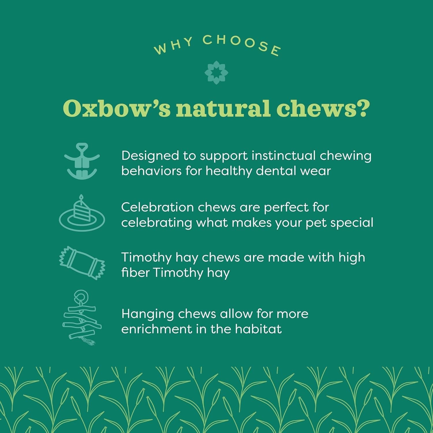 oxbow-timothy-hay-carrot-rabbit-guinea-pig-toys-bunny-enrichment-toys-rabbit-chew-toys-guinea-pig-enrichment-guinea-pig-chew-toys-rabbit-enrichment-natural-materials-small-pet-accessories