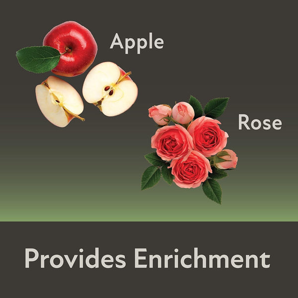Kaytee Field+Forest Mini Hay Bales Apple and Rose 2 Pack 7 Ounces6