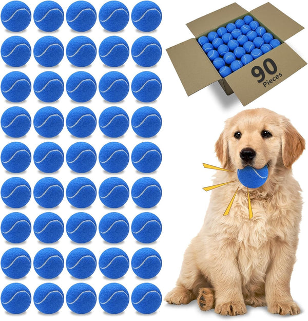 Magicorange Dog Tennis Balls, 20 Pack 2.5 Inch Squeaky Tennis Balls | Floatable Squeaky Dog Balls for All Breed Dogs,Natural Rubber,Colorful Easy Catching Multicolor,With Mesh Bag11
