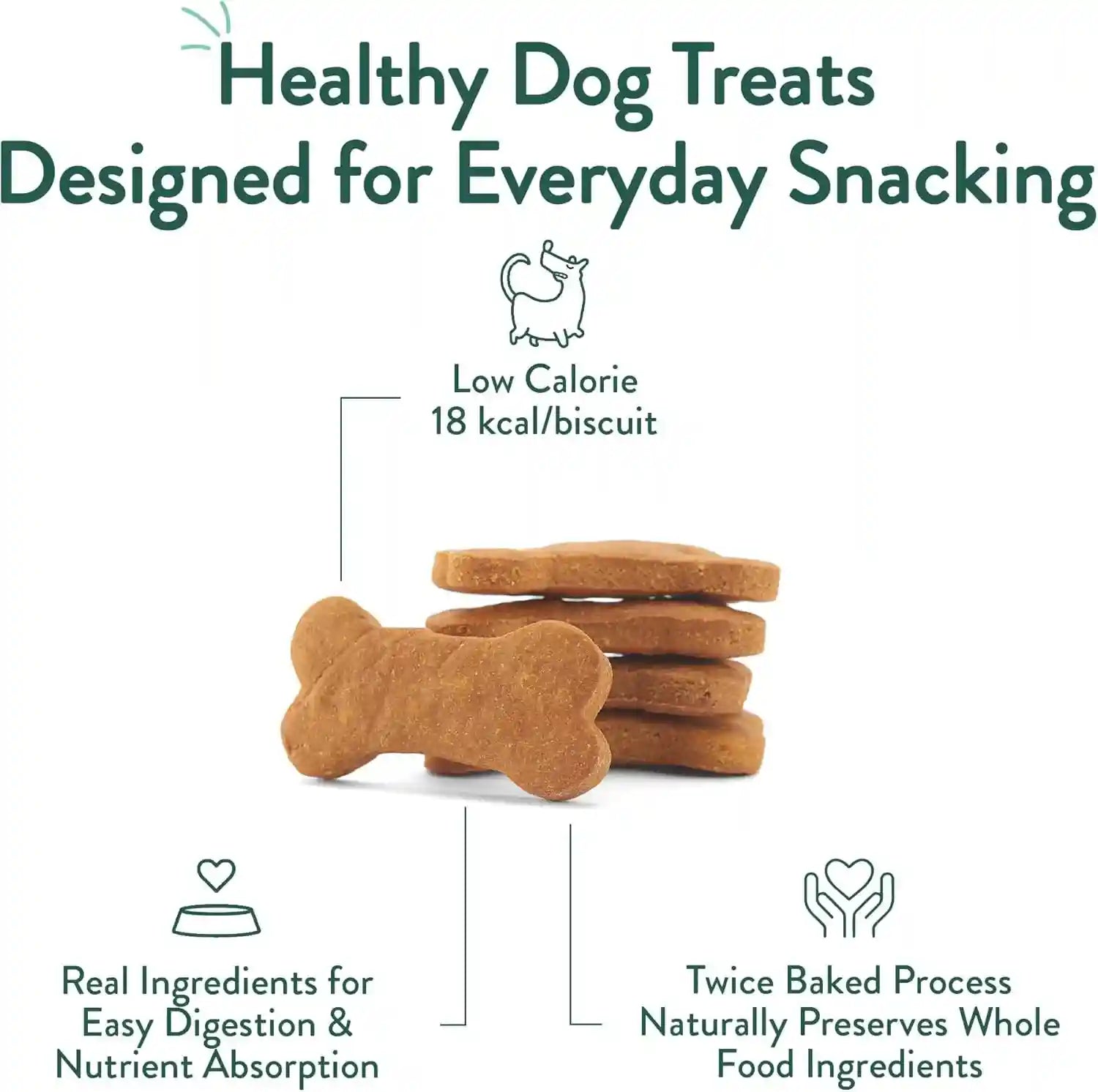 portland-pet-food-pumpkin-dog-treats-healthy-grain-free-biscuits-5-oz-human-grade-limited-ingredient-natural-low-calorie-training-treats-for-small-large-dogs-puppy-to-senior-made-in-usa
