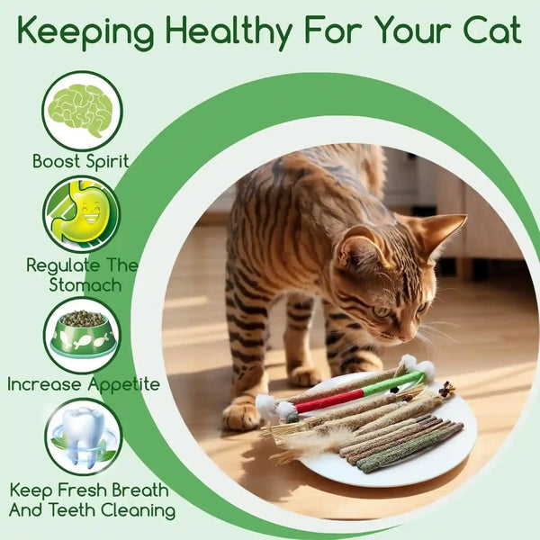 Natural Silvervine Cat Chew Toys for Dental Care | 11-Piece Natural Silvervine Chew Toys. Promotes Cat Dental Health, Aids Digestion, and Safely Expels Hairballs.2