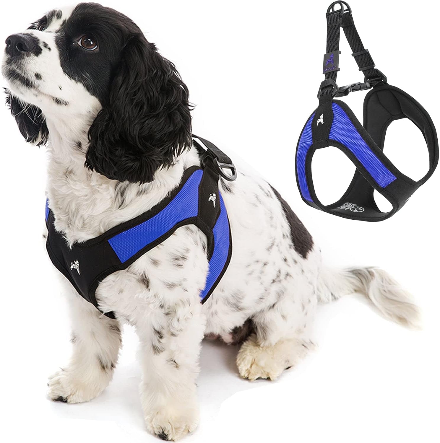 gooby-escape-free-easy-fit-harness-small-dog-step-in-harness-for-dogs-that-like-to-escape-their-harness-turquoise-small