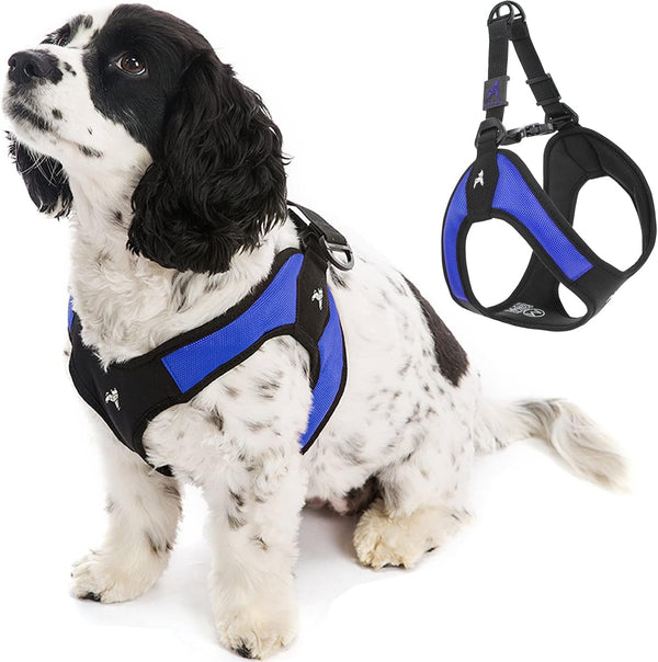 Gooby - Escape Free Easy Fit Harness, Small Dog Step-In Harness for Dogs That like to Escape Their Harness, Turquoise, Small8