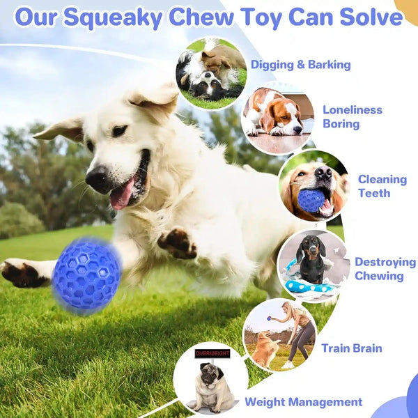 DISSKNIC Indestructible Squeaky Dog Ball, Relieves Anxiety, Cleans Teeth, Interactive Chew Toy for Aggressive Chewers, Dog Toy for Large Breeds, Outdoor Waterproof5