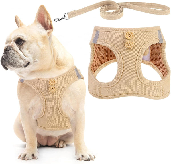 PUPTECK Dog Harness and Leash Set for Small Medium Dogs No Pull Step-In Soft Mesh Puppy Cat Vest Harnesses Reflective at Night, Green S15