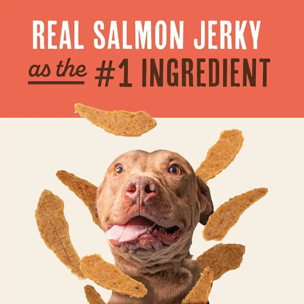 Waggin' Train Salmon Jerky Dog Treats for Skin and Coat Support, Made with 100% Real Salmon, No Grains and No Artificial Flavors or Colors, High Protein Dog Treat, Easily Digestible, 12 Oz. Pouch4