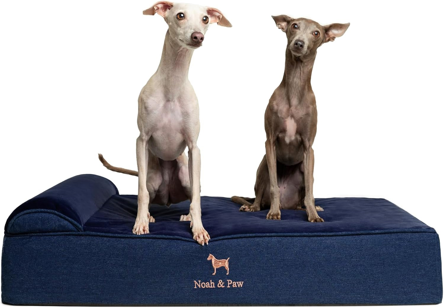 noah-paw-large-dog-bed-35x25x8-7-inch-orthopedic-dog-beds-eggshell-memory-foam-infused-with-cooling-gel-water-resistant-machine-washable-includes-inner-cover-velvet-collection