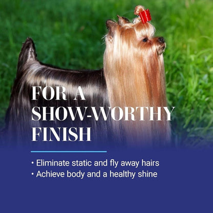 Chris Christensen Ice on Ice Detangler and Finishing Dog Spray, Groom like a Professional, Ready to Use, Helps Brush/Comb Glide through Coat, Conditions, No Residue, All Coat Types, Made in USA, 16 Oz7