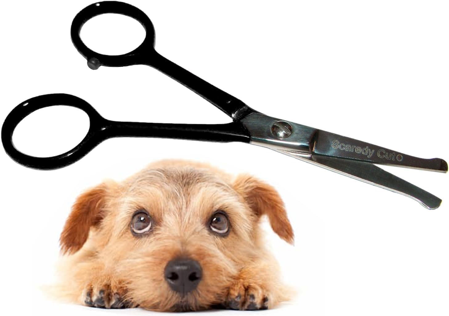 tiny-trim-4-5-ball-tipped-scissor-for-dog-cat-and-all-pet-grooming-ear-nose-face-paw-scaredy-cuts-small-safety-scissor-blue