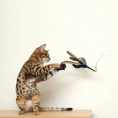 Gocat Da Bird Rod and Feather Cat Toy, Handmade in the USA (1 Bird)3