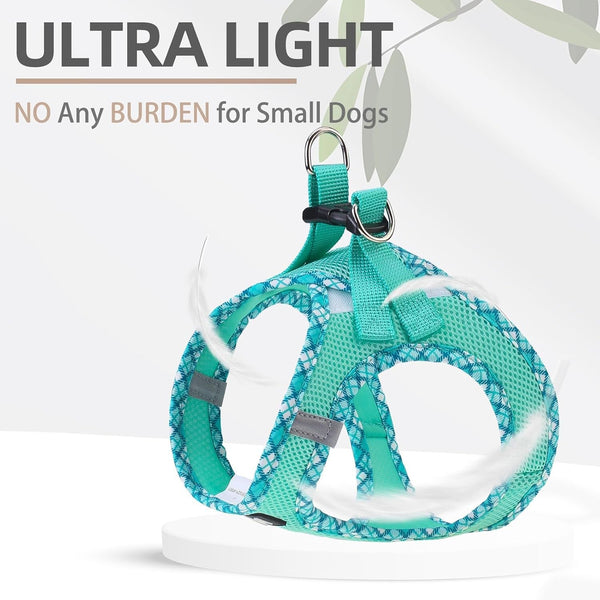 PUPTECK Dog Harness and Leash Set for Small Medium Dogs No Pull Step-In Soft Mesh Puppy Cat Vest Harnesses Reflective at Night, Green S3