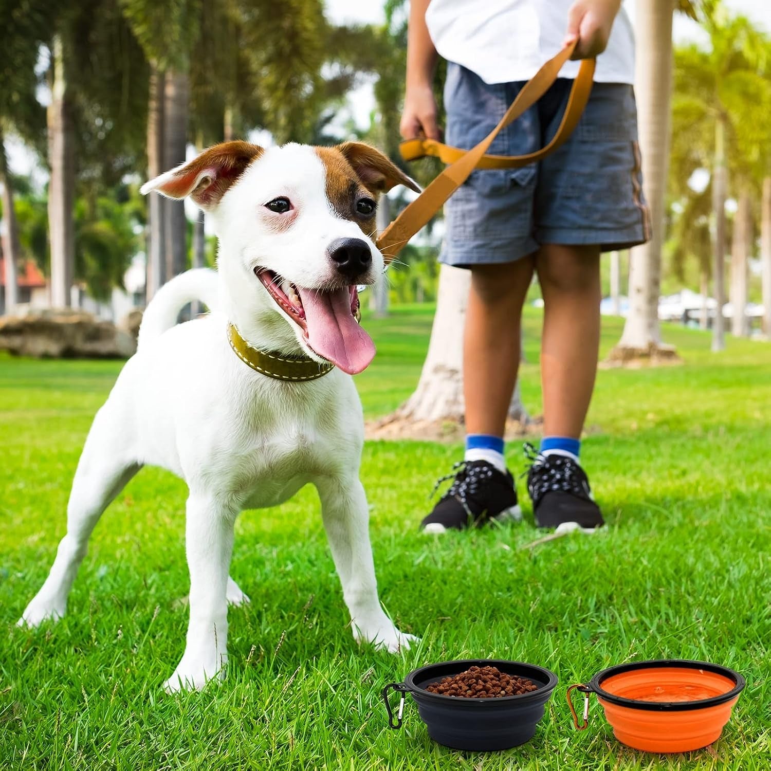 2-pack-small-dog-travel-bowl-collapsible-bowls-for-dogs-foldable-cat-water-bowl-portable-pet-feeding-watering-traveling-dish-black-orange