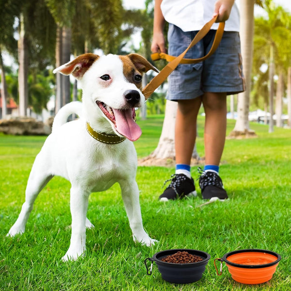 2-Pack Small Dog Travel Bowl, Collapsible Bowls for Dogs | Foldable Cat Water Bowl, Portable Pet Feeding Watering Traveling Dish (Black & Orange)6
