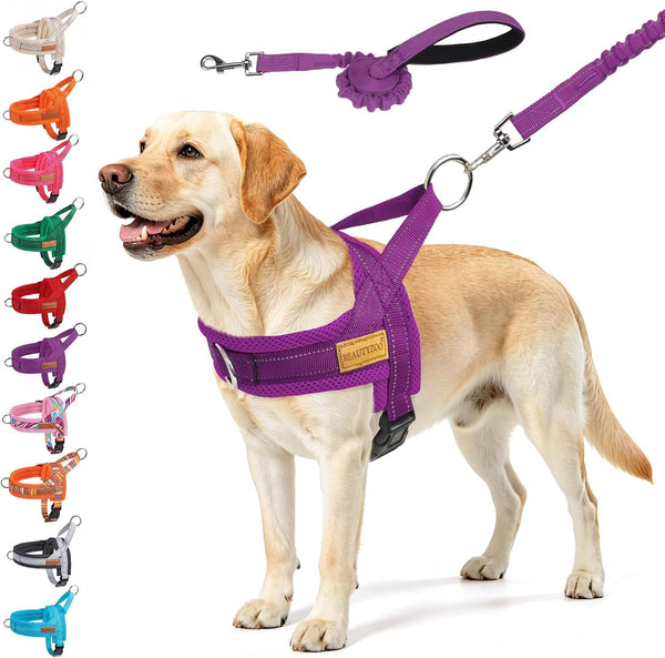 BEAUTYZOO Dog Harness No Pull, Quick Fit Dog Harness and Leash Set, Escape Proof Vest Harness with Soft Handle, Reflective Breathable Mesh Padding Harness for Medium Size Dog Training Walking, Beige M12