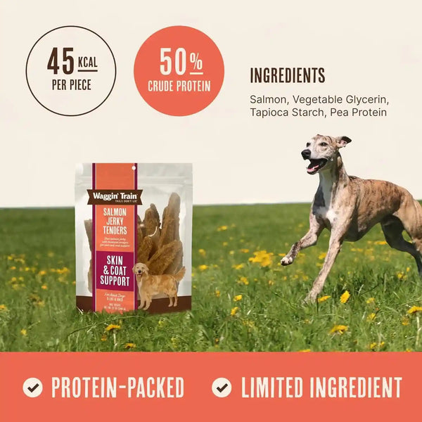 Waggin' Train Salmon Jerky Dog Treats for Skin and Coat Support, Made with 100% Real Salmon, No Grains and No Artificial Flavors or Colors, High Protein Dog Treat, Easily Digestible, 12 Oz. Pouch3
