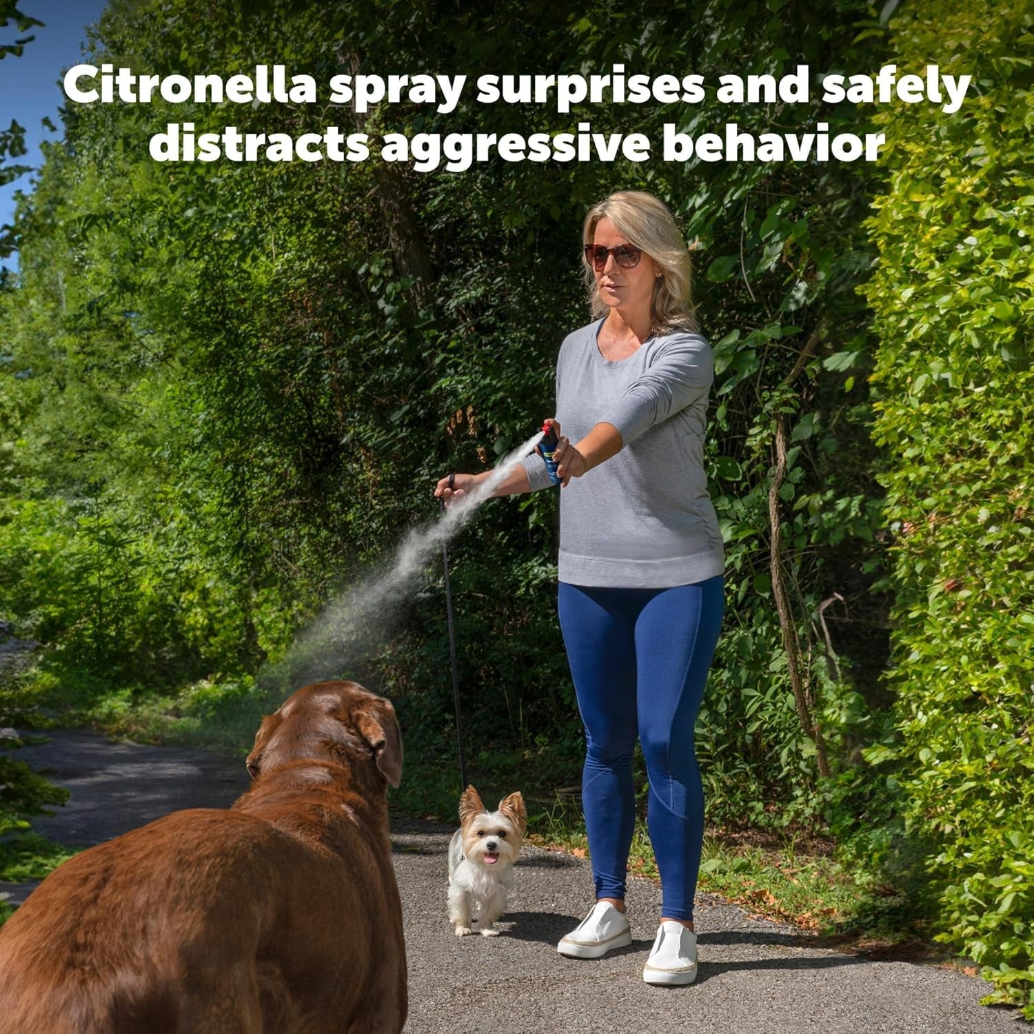 petsafe-sprayshield-animal-deterrent-spray-with-clip-2-4-oz