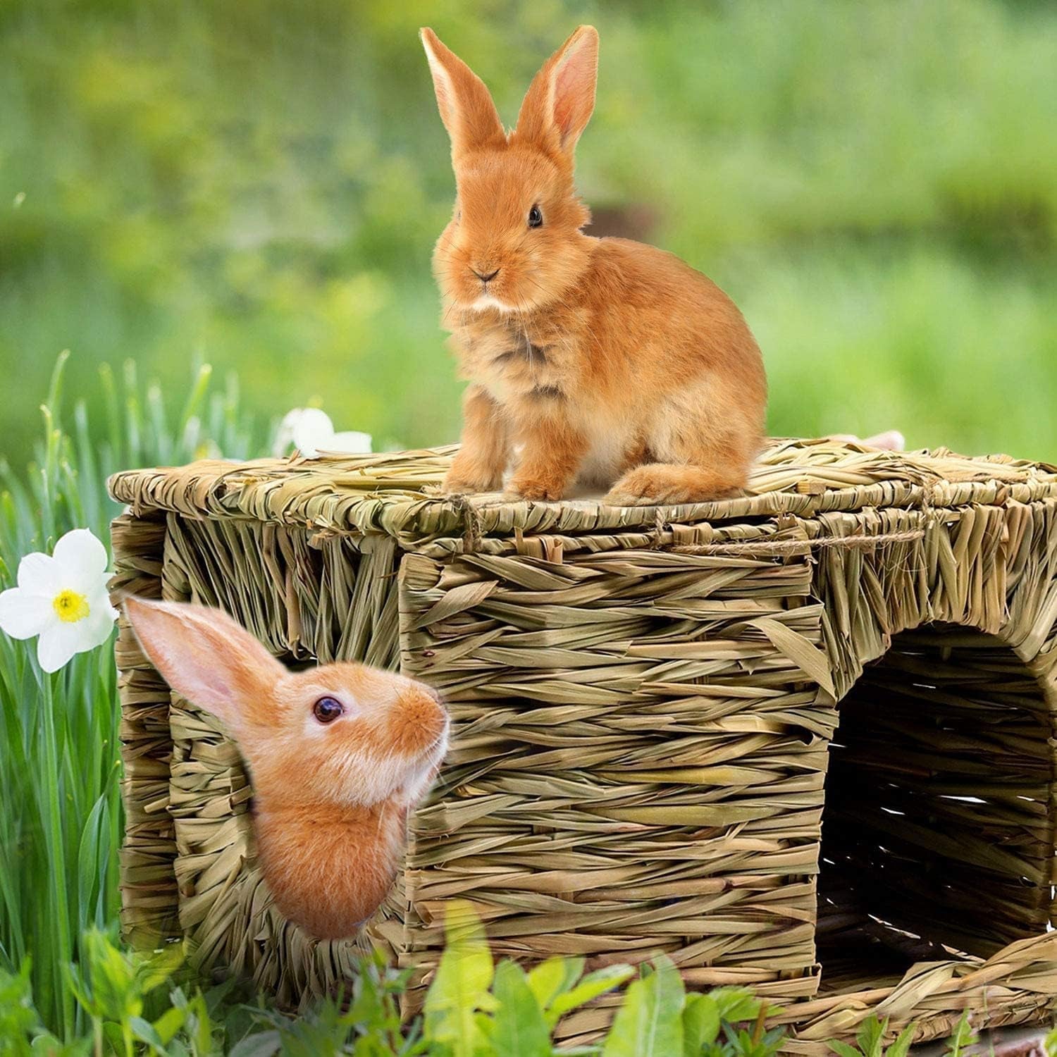 natural-seagrass-mat-bed-hideaway-toy-hand-woven-for-rabbit-guinea-pig-chinchilla-ferret