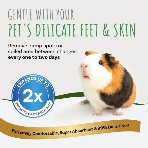 Small Pet Select Premium Natural Aspen Bedding, Animal Bedding for Small Indoor and Outdoor Pets, Made in the USA, Jumbo Size 141 L Pack | Natural Wood Bedding, Low Dust, Odor Control, Made in USA, for Indoor & Outdoor Rabbits, Hamsters & Small Pets5