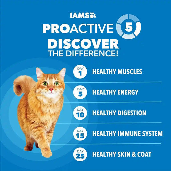 IAMS Proactive Health Healthy Weight Dry Cat Food, Chicken, 3.5 Lb | Veterinarian-Recommended, Real Chicken #1 Ingredient, Protein & Fiber Blend for Weight Management, Supports Healthy Energy5