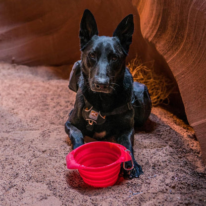 Kurgo Collaps-A-Bowl, Barn Red | Collapsible Travel Dog Bowl, Holds up to 24Oz, Food-Grade Silicone, PVC & Bpa-Free, Dishwasher Safe, Includes Carabiner Clip5