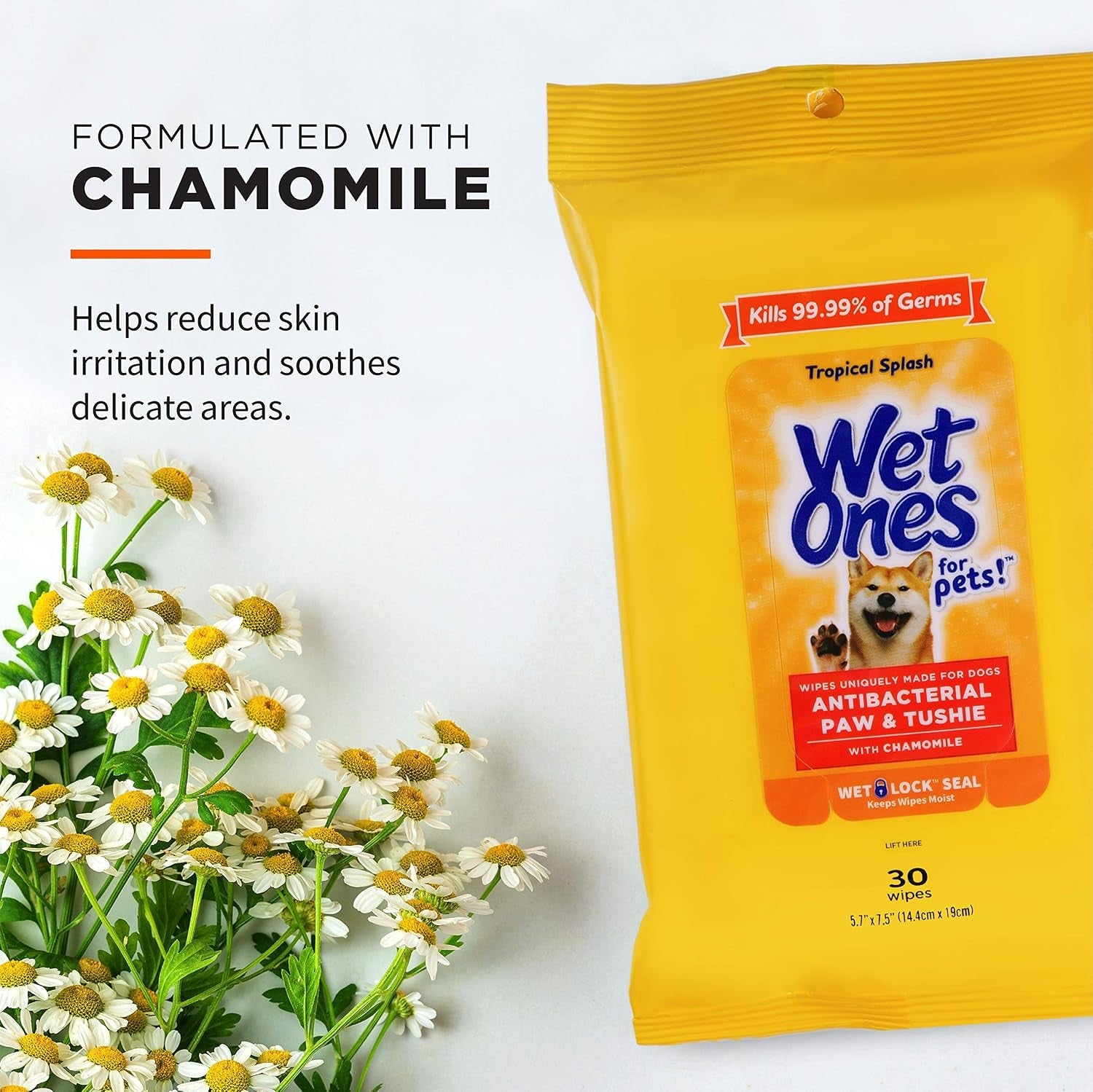 wet-ones-for-pets-paw-and-tushie-dog-wipes-tropical-splash-30-count-chamomile-infused-wipes-wet-lock-seal-tropical-splash-scent-paws-and-butt-cleanup