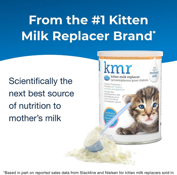 Pet-Ag KMR Kitten Milk Replacer Powder - 12 Oz - Powdered Kitten Formula with Prebiotics, Probiotics & Vitamins for Kittens Newborn to Six Weeks Old - Easy to Digest2