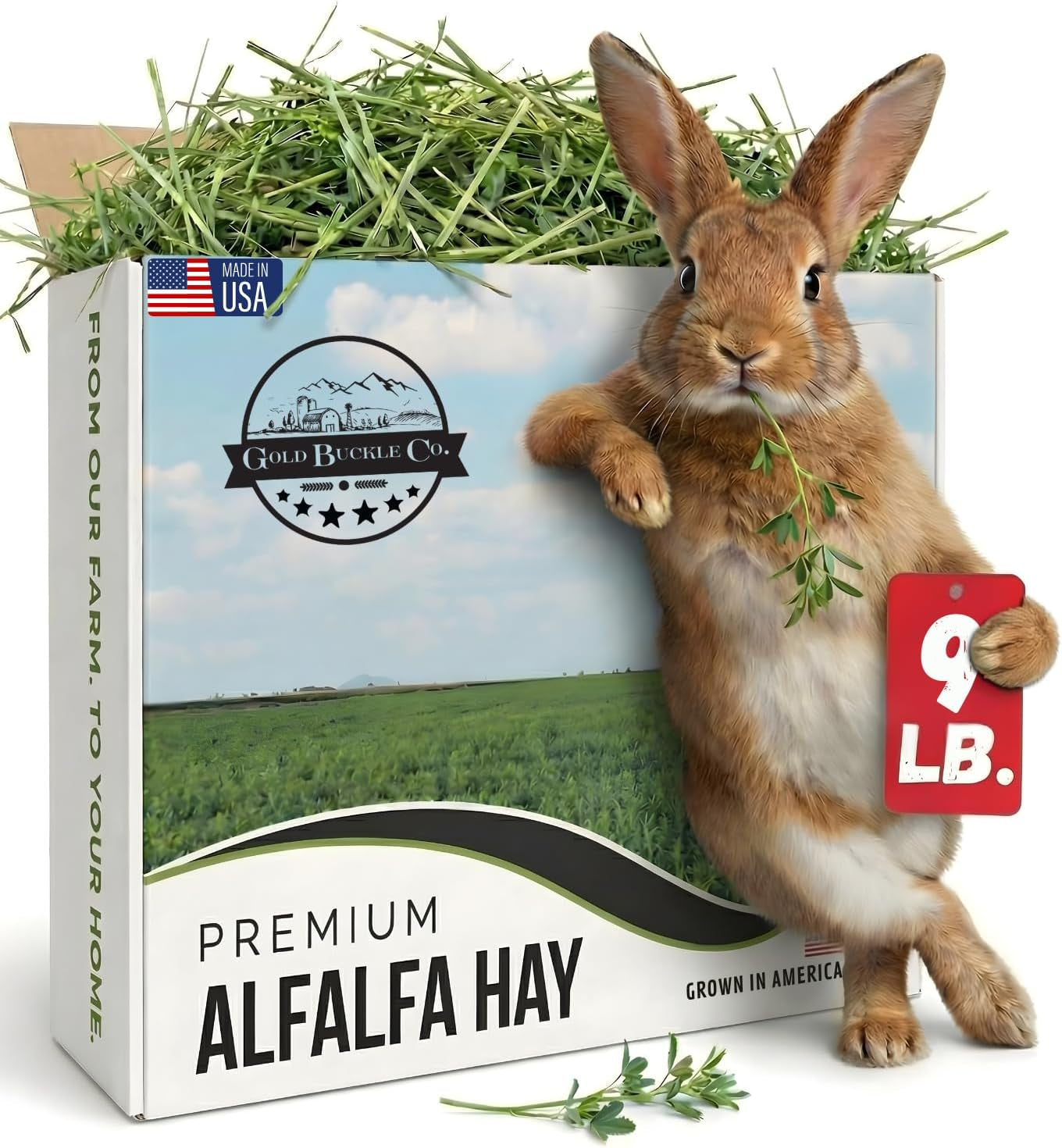 premium-alfalfa-hay-for-rabbits-guinea-pigs-all-natural-usa-grown-9lb-hay-for-guinea-pigs-chinchillas-hamsters-ferrets-farm-fresh-rich-in-protein-fiber-fresh-dried-hand-selected