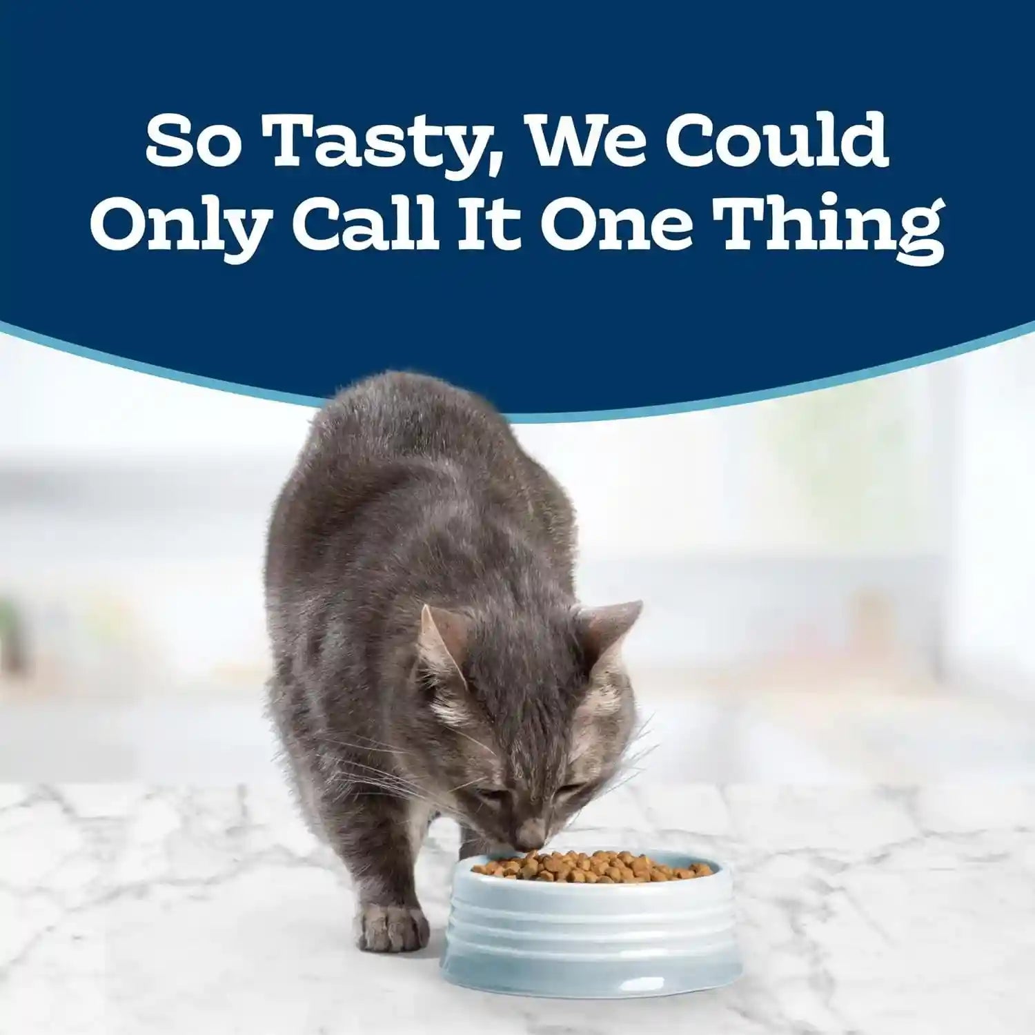 blue-buffalo-tastefuls-chicken-brown-rice-recipe-sensitive-stomach-adult-dry-cat-food-real-chicken-first-deliciously-healthy-natural-cat-food-natural-ingredients-supports-digestion-7-lb-bag