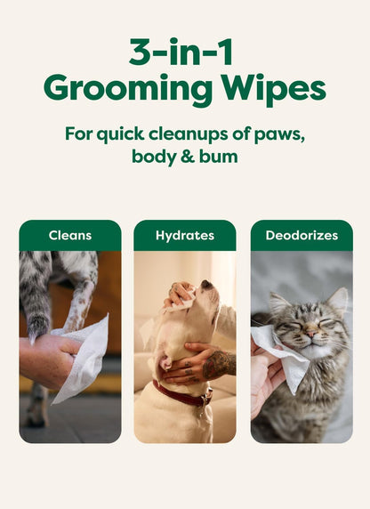 Earth Rated Dog Wipes for Paws & Butt, Deodorizing, Unscented, 100Ct | Hypoallergenic, 3-In-1 Cleaning and Hydrating, for Grooming Paws, Body and Butt4