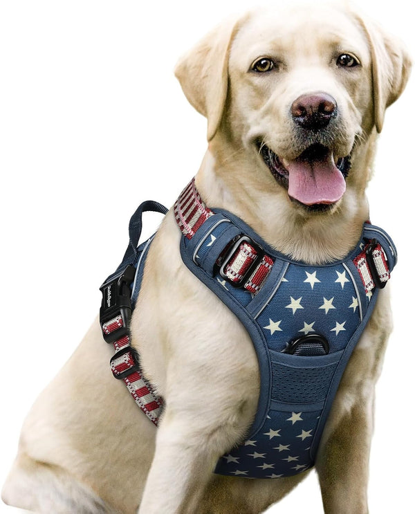 Rabbitgoo Dog Harness, No Pull for Large Dogs with 2 Leash Clips, Pet Vest | No Choke with Handle, Adjustable Soft Padded, Reflective, Easy Control for Walking, Black, Large153
