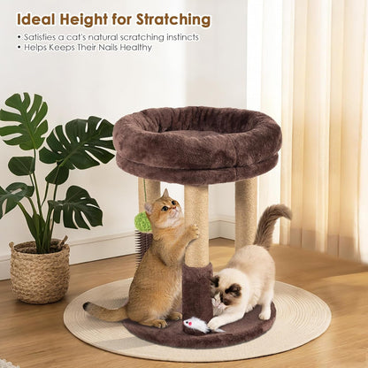 21” Tall Cat Scratching Post with Plush Cat Bed | Stable Cat Tree for Indoor Cats, Interactive Toy & Grooming Brush Included5