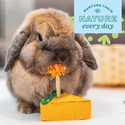 Oxbow Birthday Party Pack, Rabbit & Guinea Pig Toys, Bunny Enrichment Toys | Rabbit Chew Toys, Guinea Pig Enrichment, Guinea Pig Chew Toys, Rabbit Enrichment, Natural Materials, Small Pet Accessories7