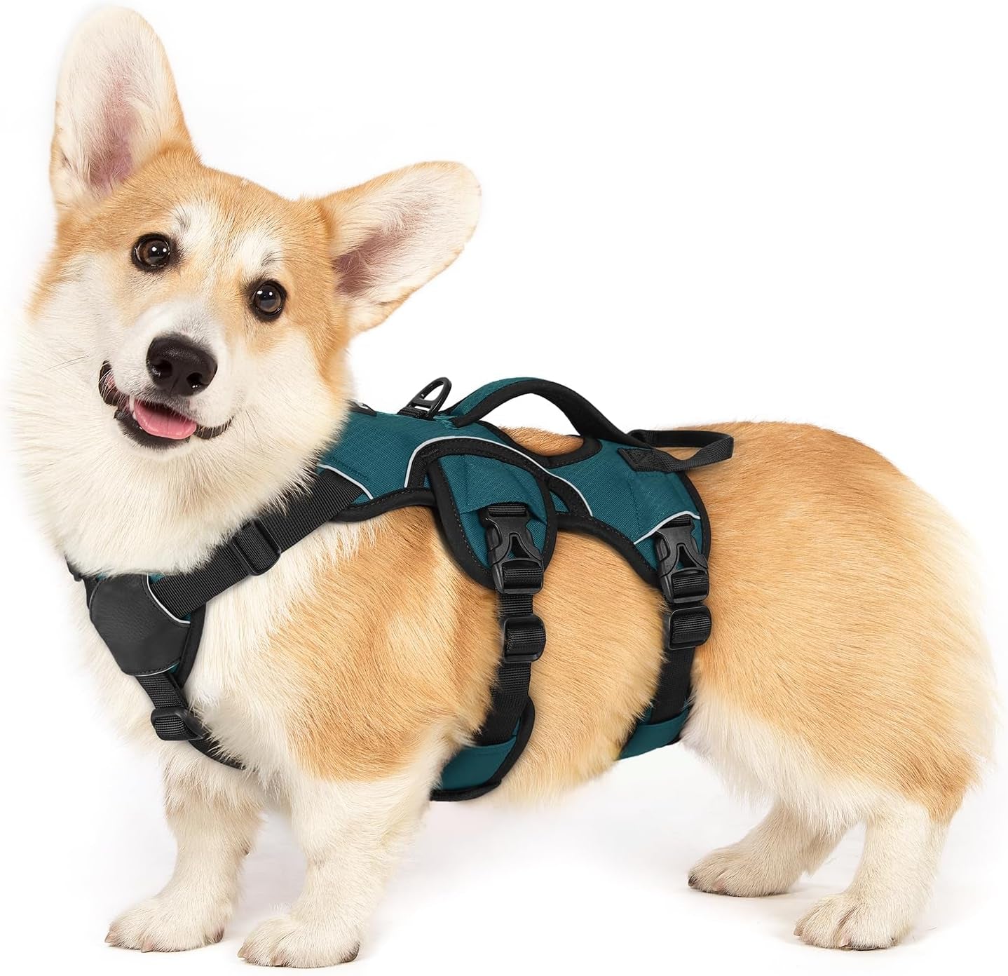 rabbitgoo-escape-proof-dog-harness-for-large-no-pull-with-lift-handle-no-escape-full-soft-padded-reflective-adjustable-vest-leash-clip-for-walking-hiking-training-black-large