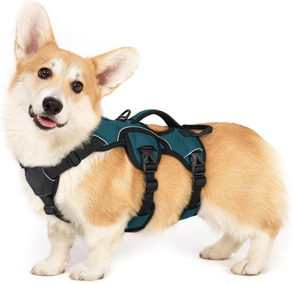 Rabbitgoo Escape Proof Dog Harness for Large, No Pull with Lift Handle | No Escape, Full Soft Padded, Reflective Adjustable Vest, Leash Clip for Walking Hiking Training, Black, Large55