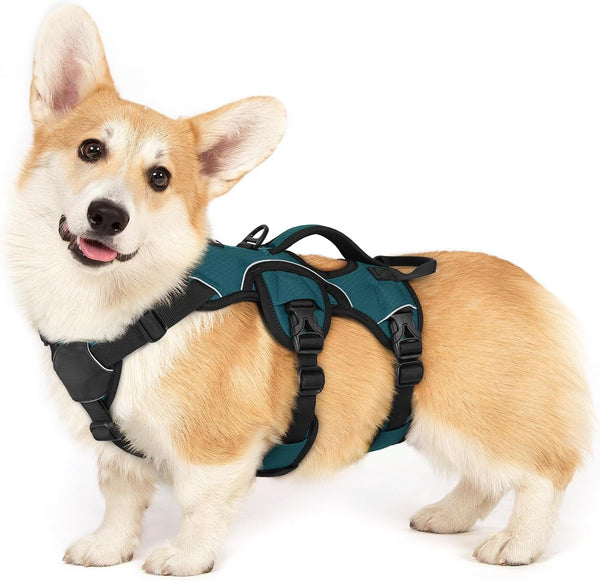 Rabbitgoo Escape Proof Dog Harness for Large, No Pull with Lift Handle | No Escape, Full Soft Padded, Reflective Adjustable Vest, Leash Clip for Walking Hiking Training, Black, Large55
