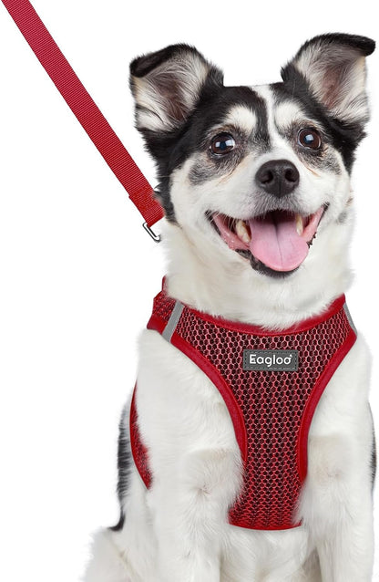 Eagloo Small Dog Harness and Leash Set, Step in Small Sized Puppy Pet Vest | Light, Soft, Breathable Air Mesh, Easy on and off with Hook & Loop, Reflective for Safe Walking, Pink, S37